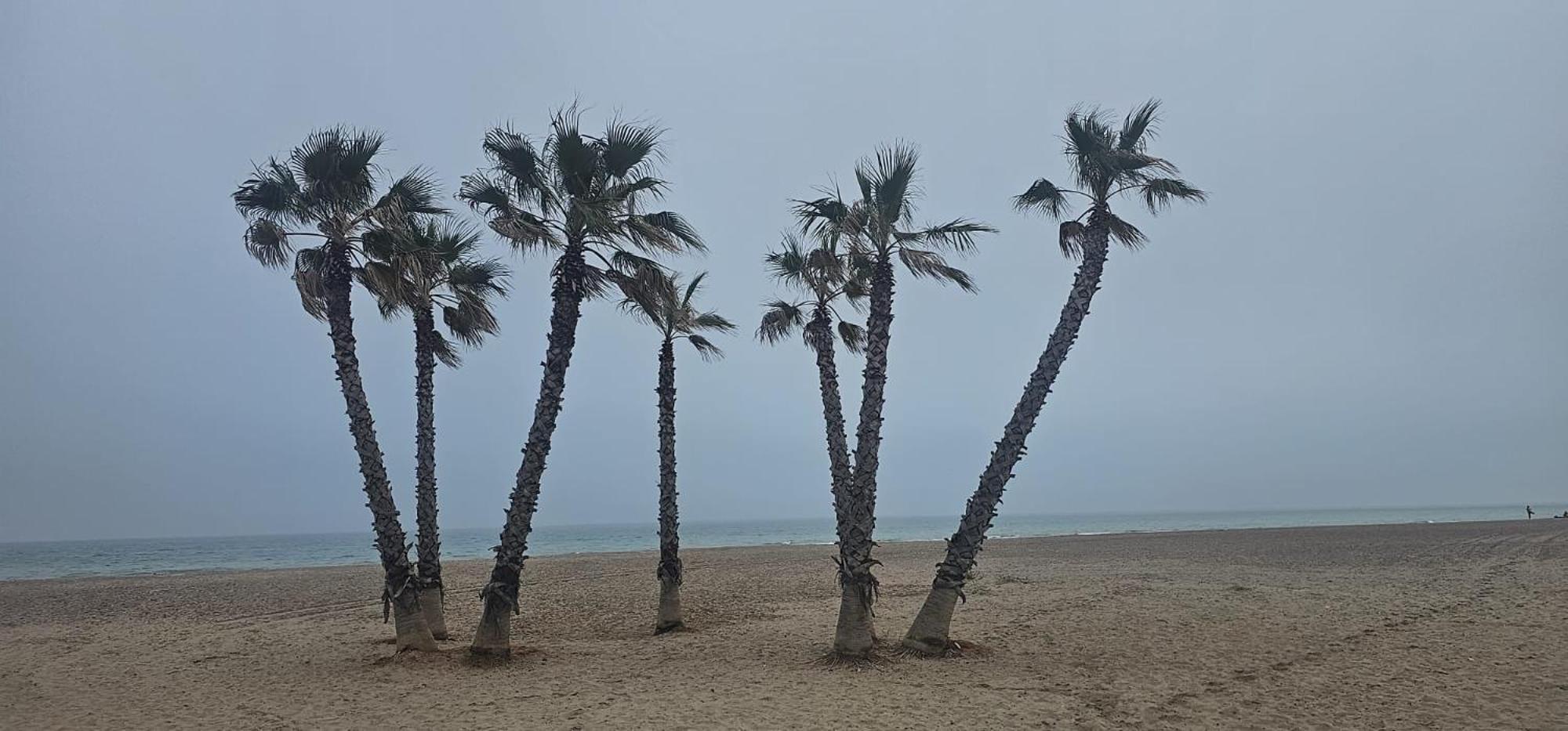 Apartamento Con Piscina Y Cerca De La Playa カネット・デ・ベレンゲル エクステリア 写真
